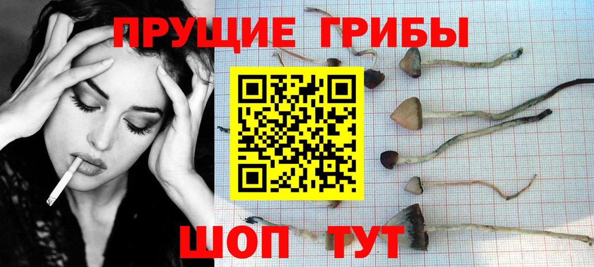 Галлюциногенные грибы прущие грибы Кохма