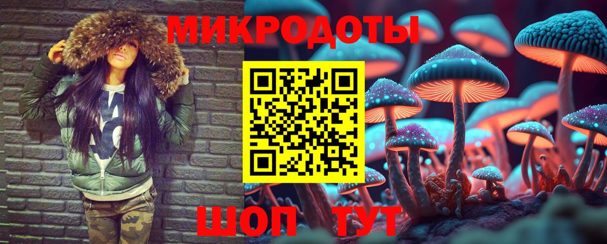 Галлюциногенные грибы Psilocybe  Вход с VPN  Кохма 